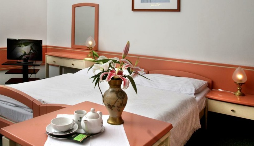 Hotel Maxim Mariánské Lázně - Dvoulůžkový pokoj, Jednolůžkový pokoj